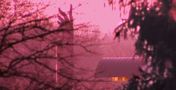 Erster Advent Erster Advent