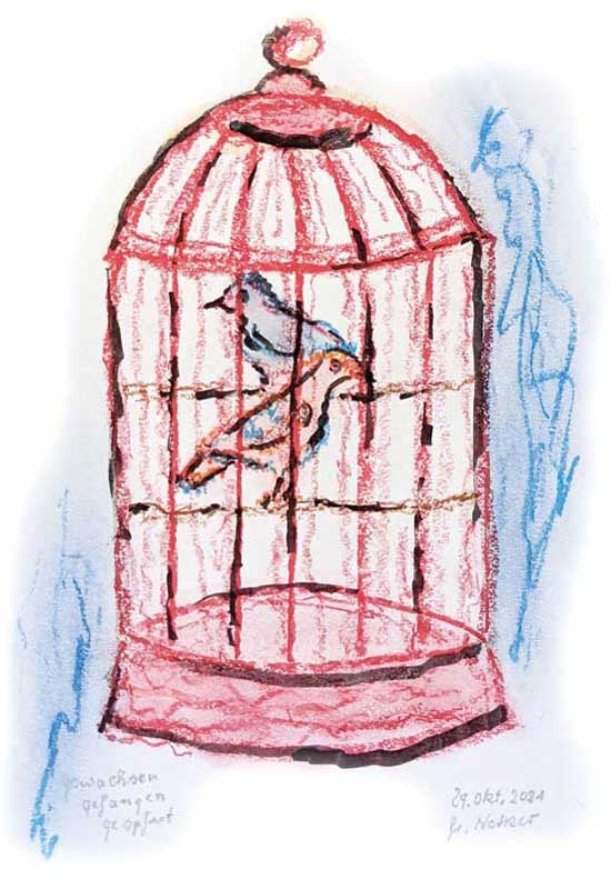 Käfig mit zwei Vögeln