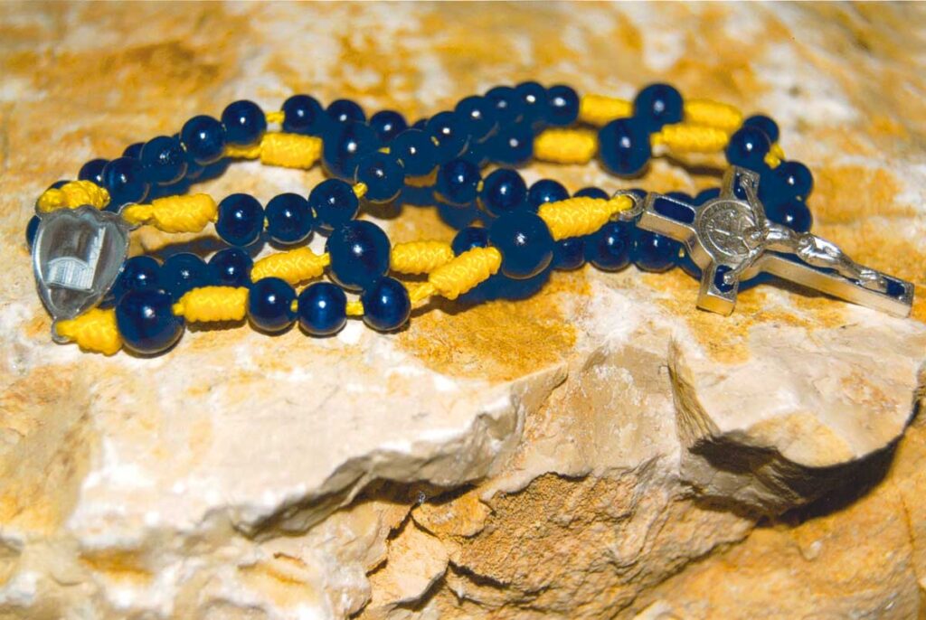 Europa-Rosenkranz auf Jurakalkstein